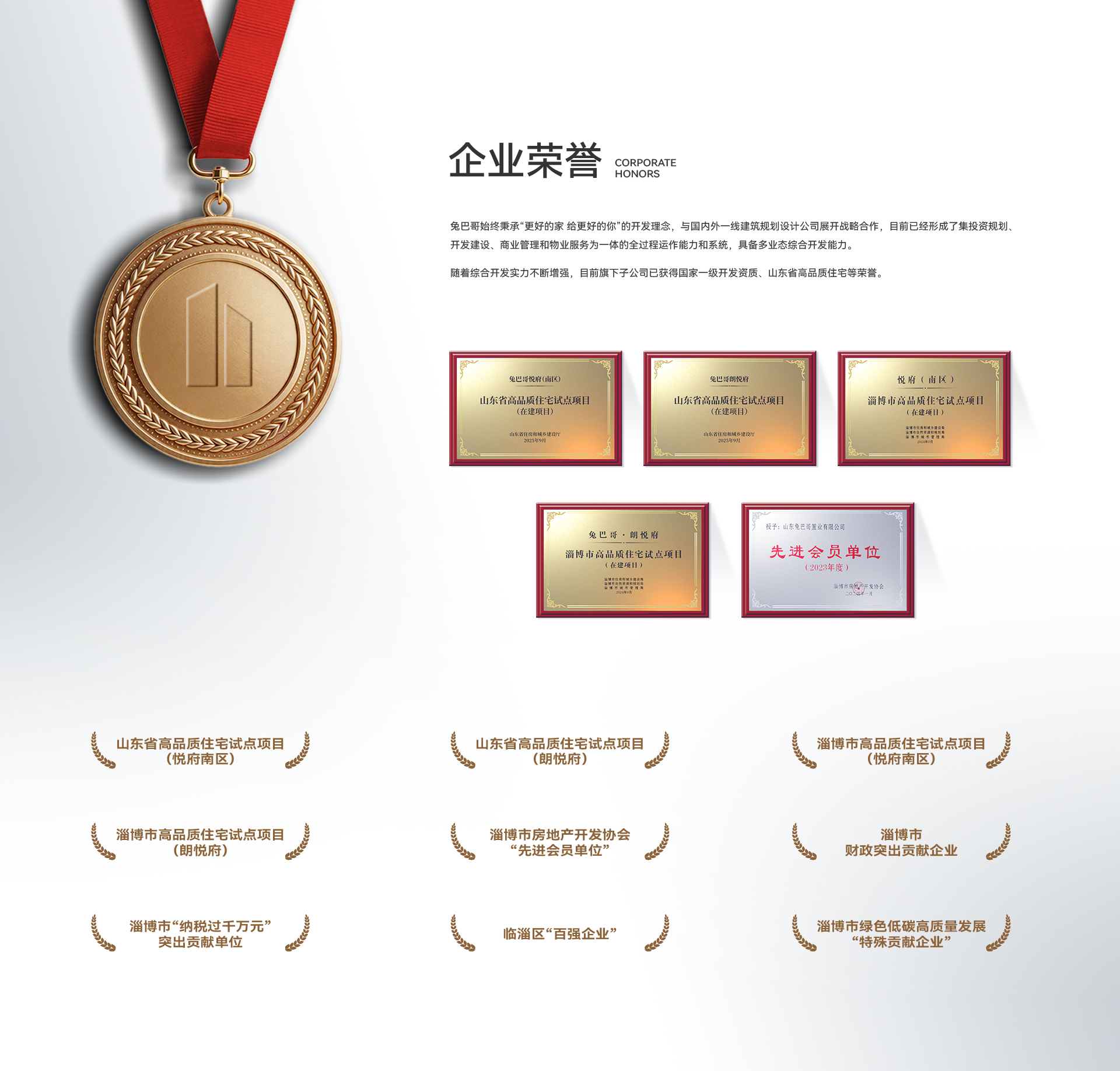 20260417【兔巴哥】官网荣誉-02